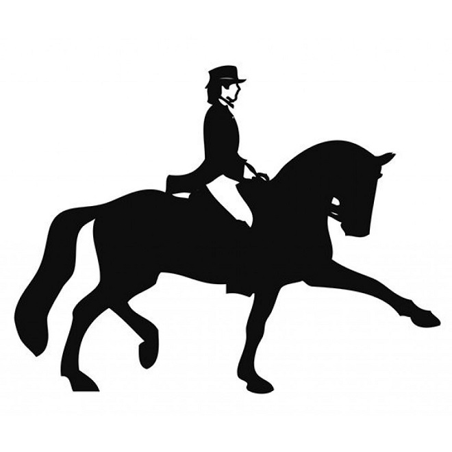 ADESIVI AUTO DRESSAGE  